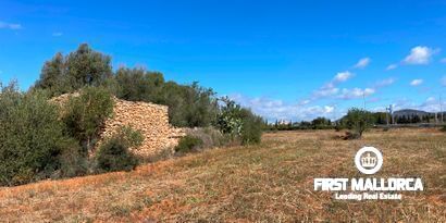 Inmobiliaria picture 1 Ref. Nº. 79404