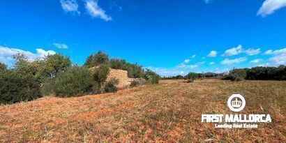 Inmobiliaria picture 2 Ref. Nº. 79404