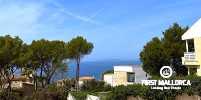 Недвижимость picture 7 Ref 78998