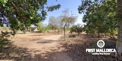 Real Estates picture 7 Ref. R20494