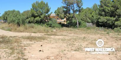 Inmobiliaria picture 0 Ref. Nº. 79587