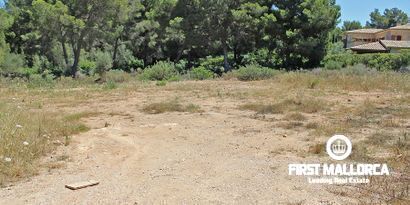 Inmobiliaria picture 1 Ref. Nº. 79587