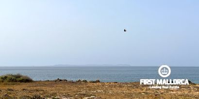 Real Estates picture 1 Ref. Nr. R25557