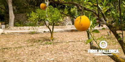 Real Estates picture 33 Ref. Nr. 70438