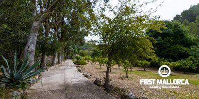 Real Estates picture 23 Ref. Nr. 70438