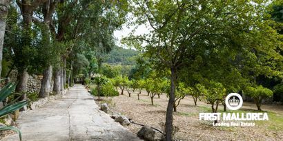 Real Estates picture 22 Ref. Nr. 70438