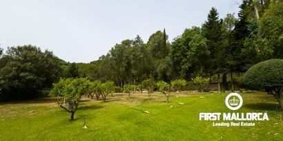 Real Estates picture 3 Ref. Nr. 70438