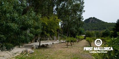 Real Estates picture 26 Ref. Nr. 70438