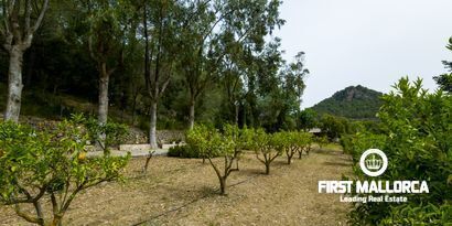 Real Estates picture 30 Ref. Nr. 70438