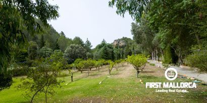 Real Estates picture 15 Ref. Nr. 70438