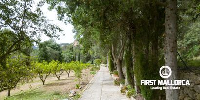 Real Estates picture 4 Ref. Nr. 70438