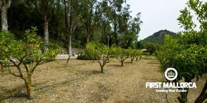 Real Estates picture 29 Ref. Nr. 70438