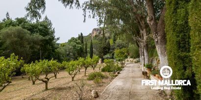 Real Estates picture 31 Ref. Nr. 70438