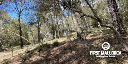 Inmobiliaria picture 2 Ref. Nº. 79661