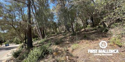 Inmobiliaria picture 3 Ref. Nº. 79661