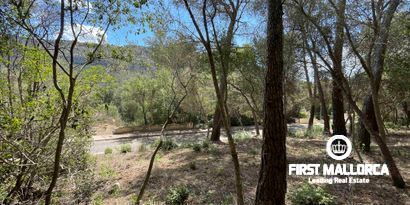 Inmobiliaria picture 0 Ref. Nº. 79661