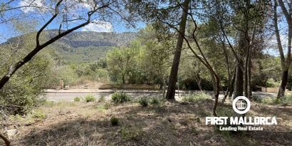 Inmobiliaria picture 1 Ref. Nº. 79661