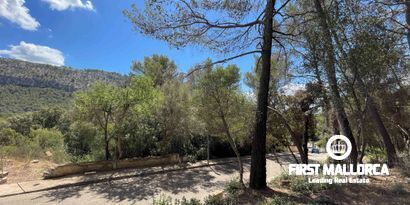 Inmobiliaria picture 4 Ref. Nº. 79661