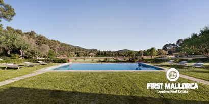 Inmobiliaria picture 6 Ref. Nº. 62165