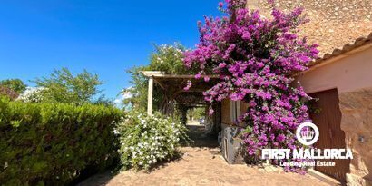 Immobilien picture 5 Ref. Nr. 79540