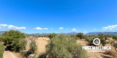 Immobilien picture 25 Ref. Nr. 79540