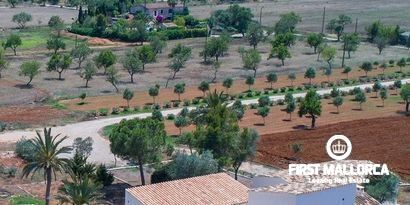 Inmobiliaria picture 23 Ref. Nº. R25779