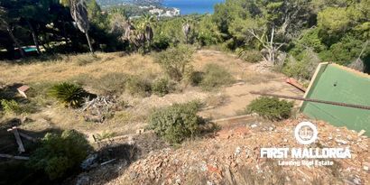 Недвижимость picture 1 Ref 79798