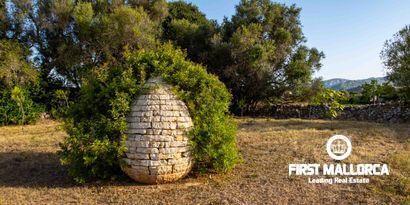 Real Estates picture 6 Ref. Nr. 79667