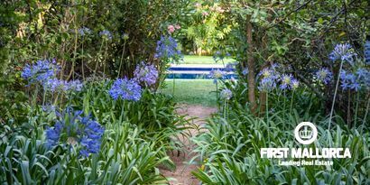 Real Estates picture 7 Ref. Nr. 79667