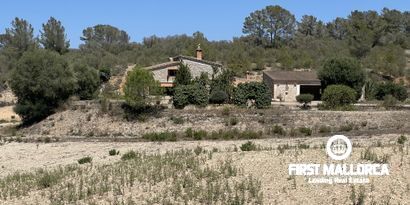 Inmobiliaria picture 0 Ref. Nº. 79817