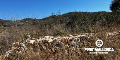 Inmobiliaria picture 28 Ref. Nº. 78178
