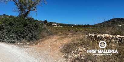 Inmobiliaria picture 3 Ref. Nº. 78178