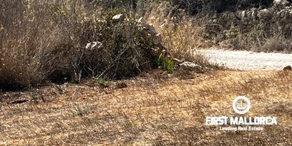 Inmobiliaria picture 16 Ref. Nº. 78178