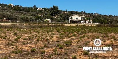 Inmobiliaria picture 6 Ref. Nº. 78178
