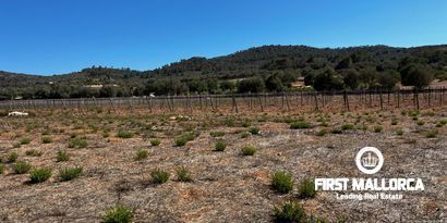 Inmobiliaria picture 11 Ref. Nº. 78178