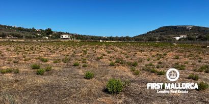 Inmobiliaria picture 7 Ref. Nº. 78178