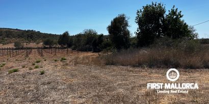 Inmobiliaria picture 14 Ref. Nº. 78178