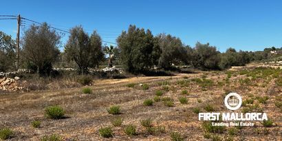 Inmobiliaria picture 5 Ref. Nº. 78178