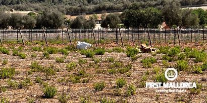 Inmobiliaria picture 20 Ref. Nº. 78178