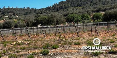 Inmobiliaria picture 21 Ref. Nº. 78178