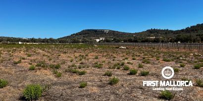 Inmobiliaria picture 9 Ref. Nº. 78178