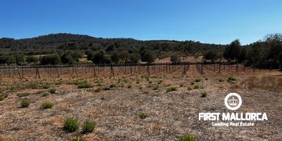 Inmobiliaria picture 13 Ref. Nº. 78178