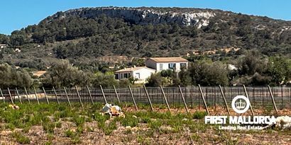 Inmobiliaria picture 1 Ref. Nº. 78178