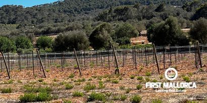 Inmobiliaria picture 23 Ref. Nº. 78178