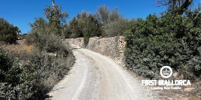 Inmobiliaria picture 2 Ref. Nº. 78178