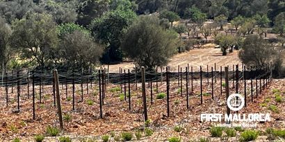 Inmobiliaria picture 4 Ref. Nº. 78178