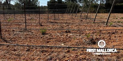 Inmobiliaria picture 17 Ref. Nº. 78178