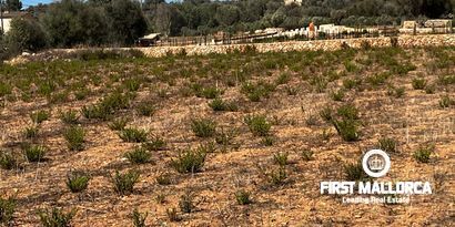 Inmobiliaria picture 18 Ref. Nº. 78178