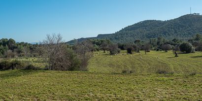 Real Estates picture 8 Ref. 79286