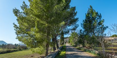 Real Estates picture 30 Ref. 79286